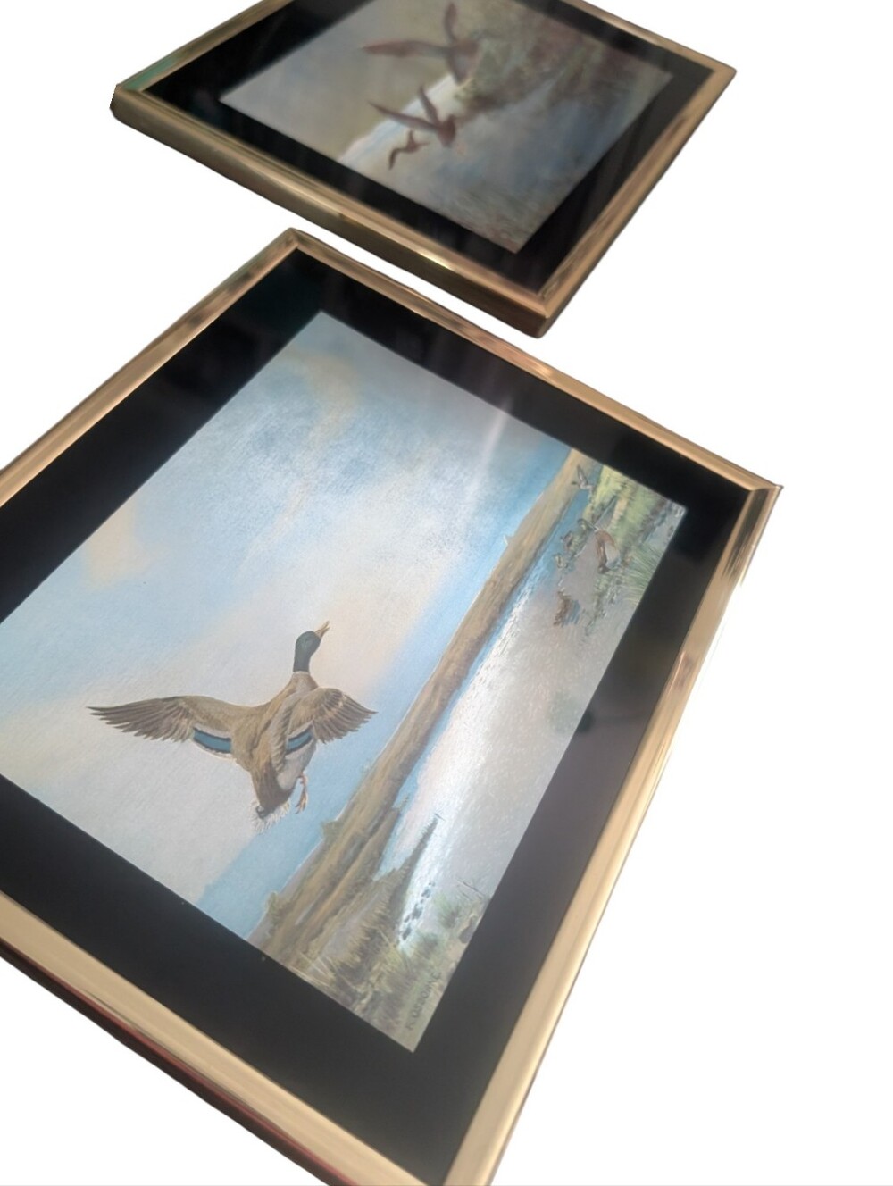 Vintage • MCM • F. Osborne Mallard Duck Foil Art Prints - Set of 2 • 8" × 10"